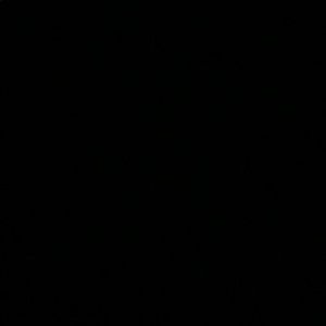 Meet your Posher, Ben